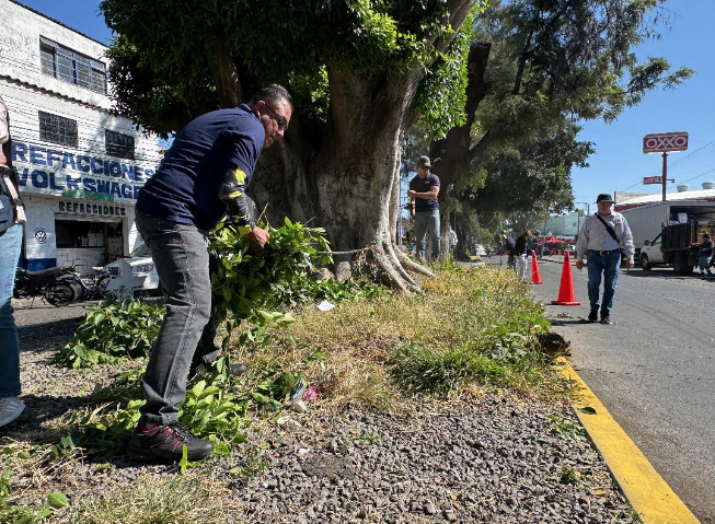Realizan jornada de limpieza y mejoramiento en la avenida 20 de Noviembre, con el programa de Faenas