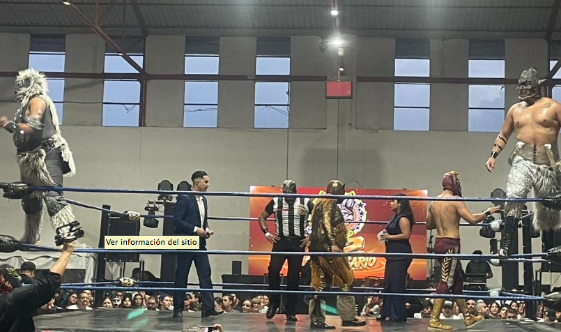 Familias y aficionados disfrutan gran función de lucha libre en Zamora