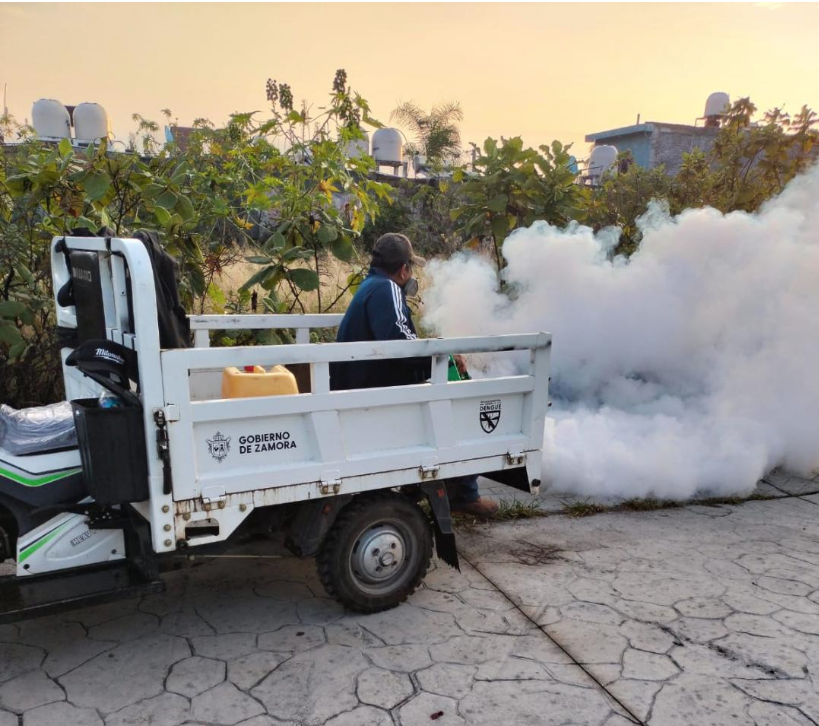 Acciones preventivas contra el dengue reducen casos en Zamora