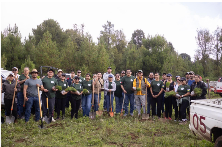 Encabeza Arturo Hernández, Jornada de Reforestación en la comunidad indígena de Patamban.