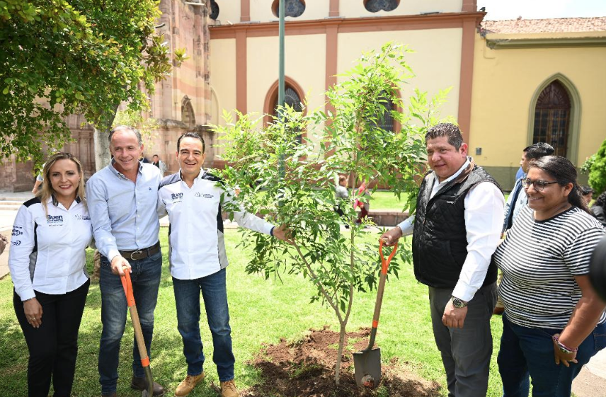 Carlos Soto declara patrimonio histórico al jaboncillo del atrio de San Francisco en Zamora