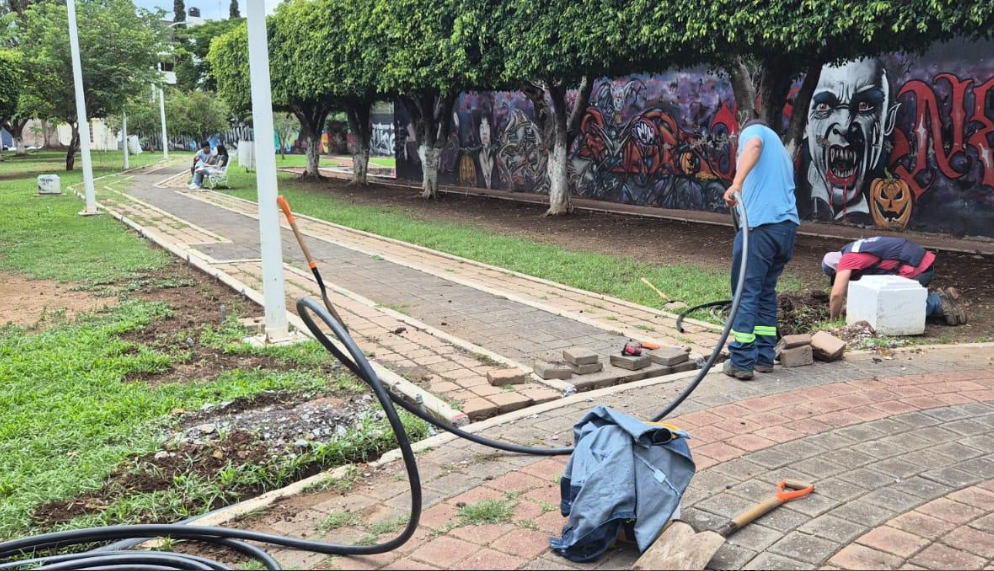 Buen Gobierno instala sistema de riego en parque del Fraccionamiento El Carmen