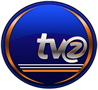 TelevisiÃ³n del Valle de Zamora