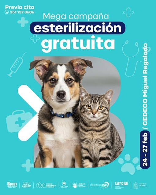 Realizarán mega campaña gratuita de esterilización para perros y gatos